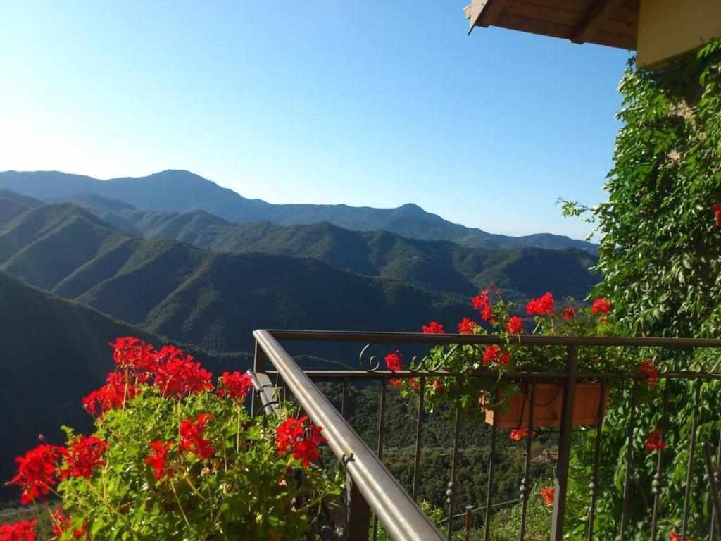 Agriturismo Al Pagan ปิญา ภายนอก รูปภาพ