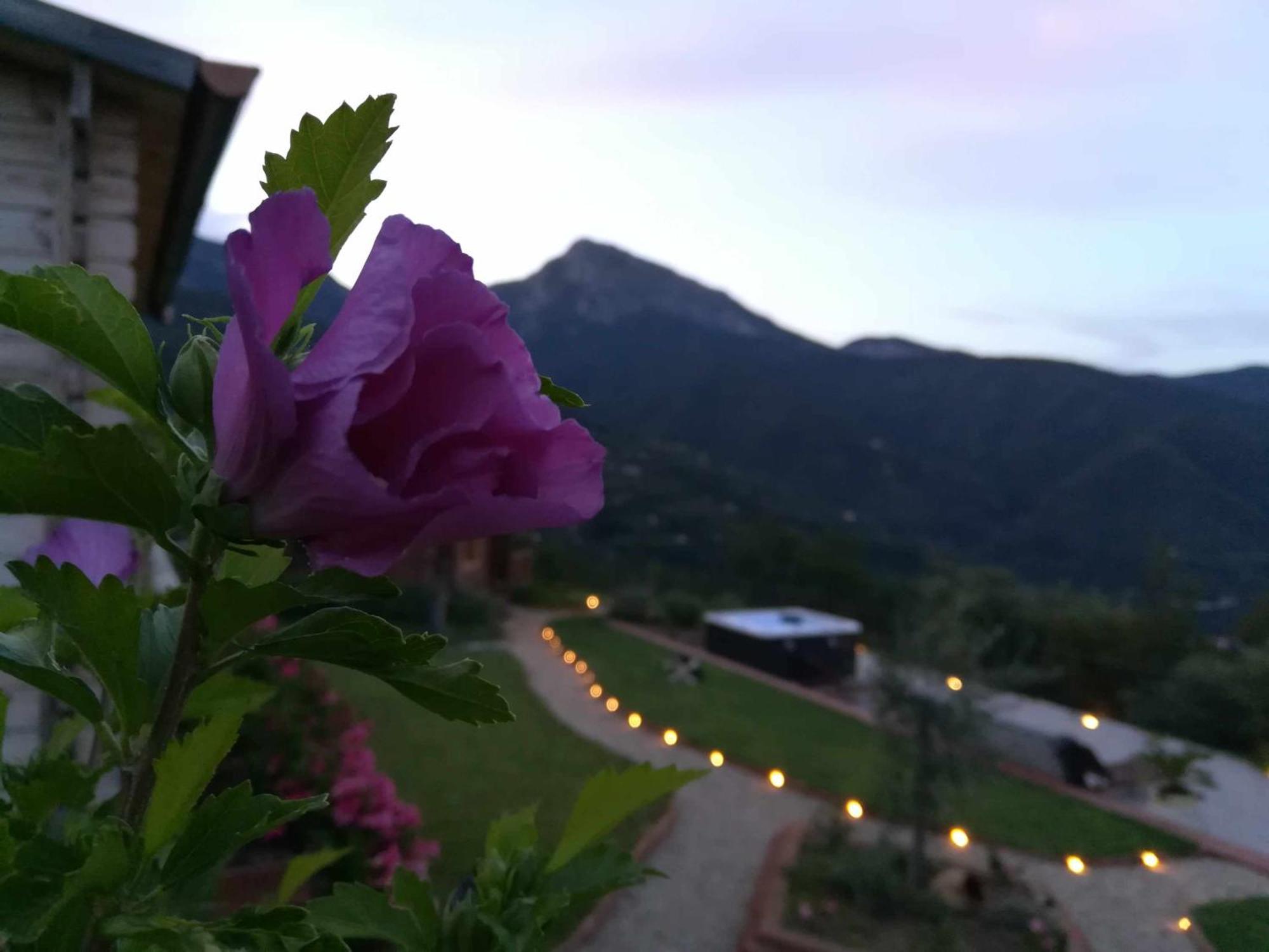 Agriturismo Al Pagan ปิญา ภายนอก รูปภาพ